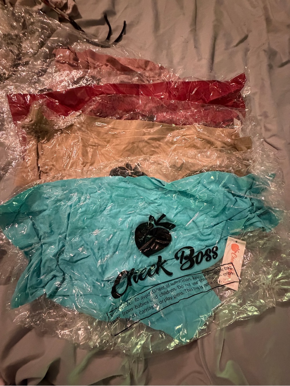Cheek Boss Women's Bikini Panties - Turquoise